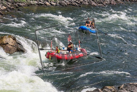 20260801-IMG_7038