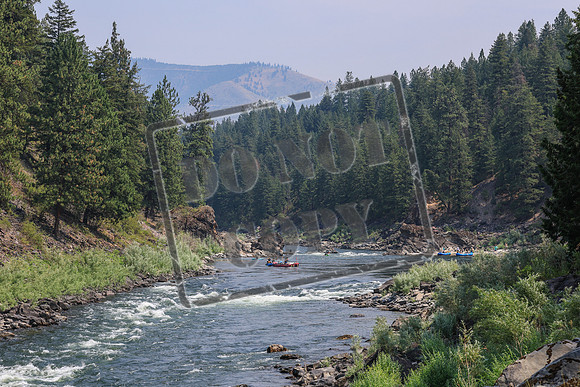 20260801-IMG_7011