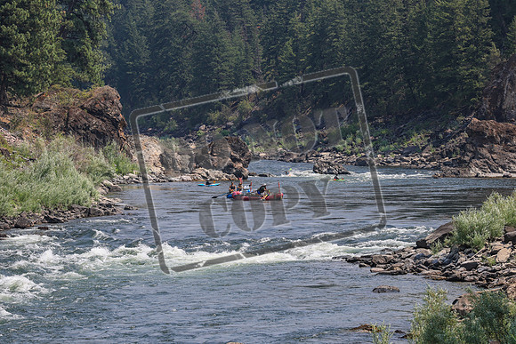 20260801-IMG_7016