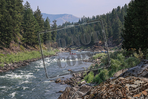 20260801-IMG_7017