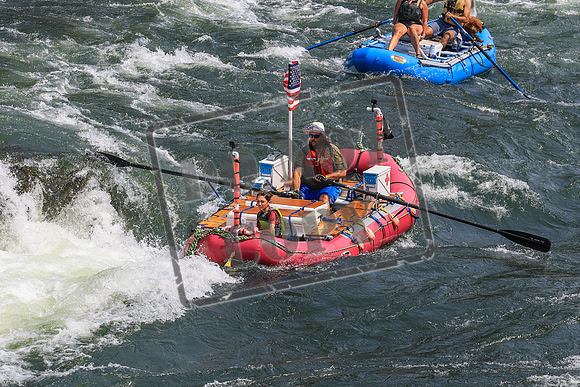 20260801-IMG_7036