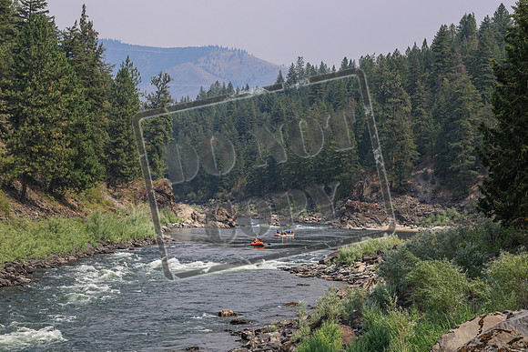 20260801-IMG_8411