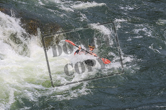 20260801-IMG_9031