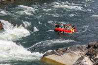 20260801-IMG_9077