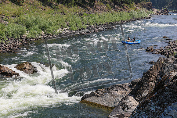 20260801-IMG_6220