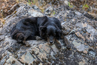 20260801-IMG_5629