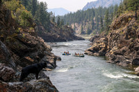 20260801-IMG_7758