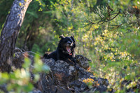 20260801-IMG_1296