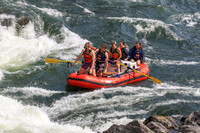 20260801-IMG_6581