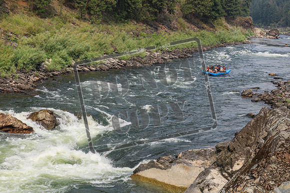 20260801-IMG_0352