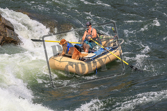 20260801-IMG_0423