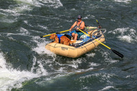 20260801-IMG_0418