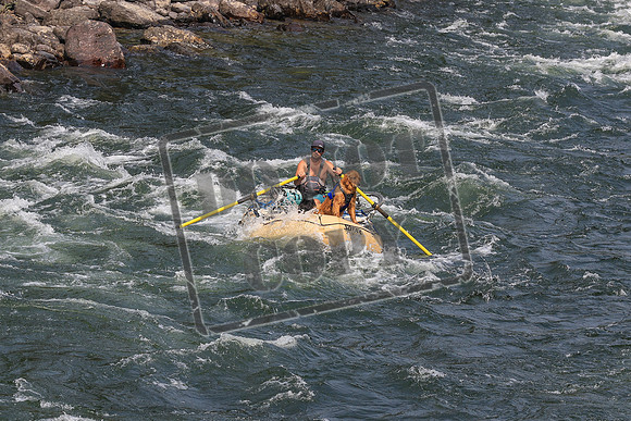 20260801-IMG_0415