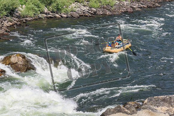 20260801-IMG_0417