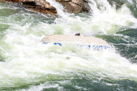 20260801-IMG_8500