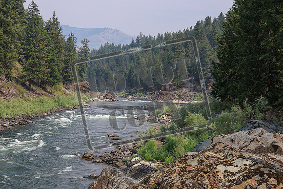 20260801-IMG_8532