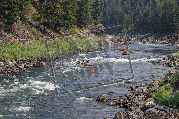 20260801-IMG_7305