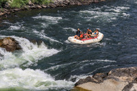 20260801-IMG_0133