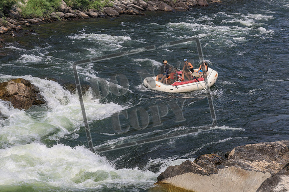 20260801-IMG_0133
