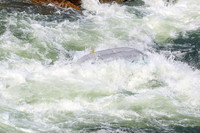 20260801-IMG_1150