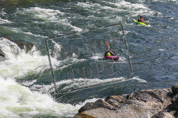 20260801-IMG_6740