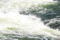 20260801-IMG_7168