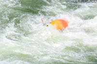 20260801-IMG_9219