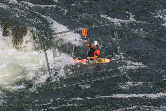20260801-IMG_9329