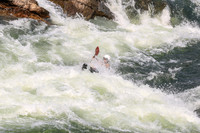 20260801-IMG_0514
