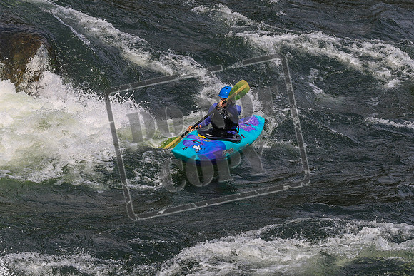 20260801-IMG_0529