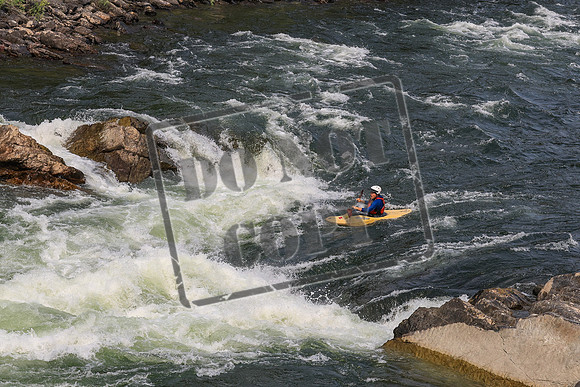 20260801-IMG_0388