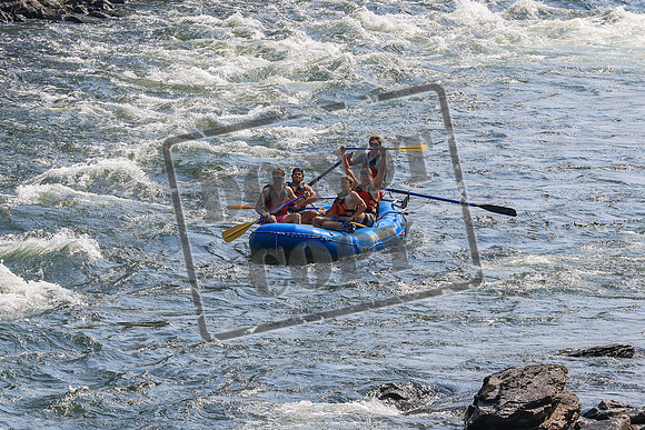 20260801-IMG_5129