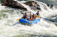 20260801-IMG_5139