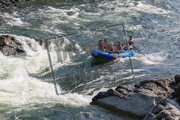 20260801-IMG_5133