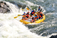20260801-IMG_4840