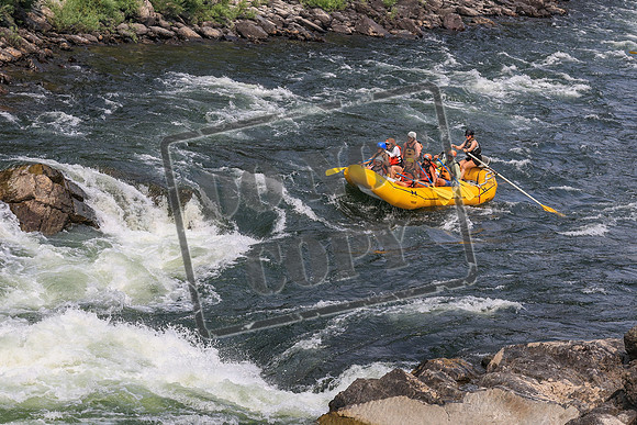 20260801-IMG_9593