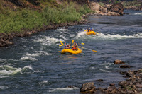 20260801-IMG_9584