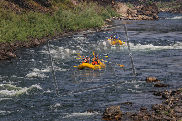 20260801-IMG_9584