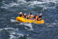 20260801-IMG_9614