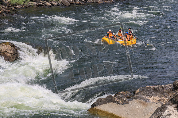 20260801-IMG_9616