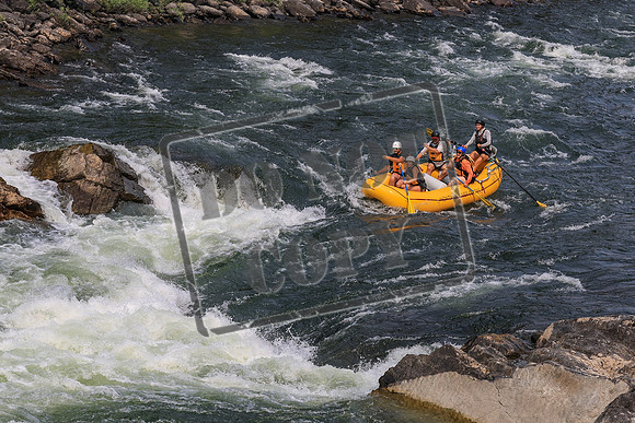 20260801-IMG_9617