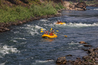 20260801-IMG_9585