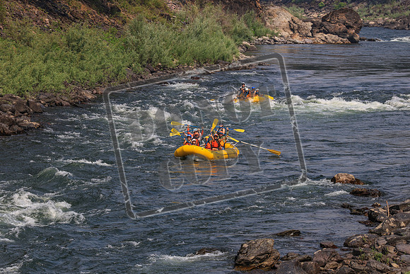20260801-IMG_9585