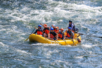 20260801-IMG_4863