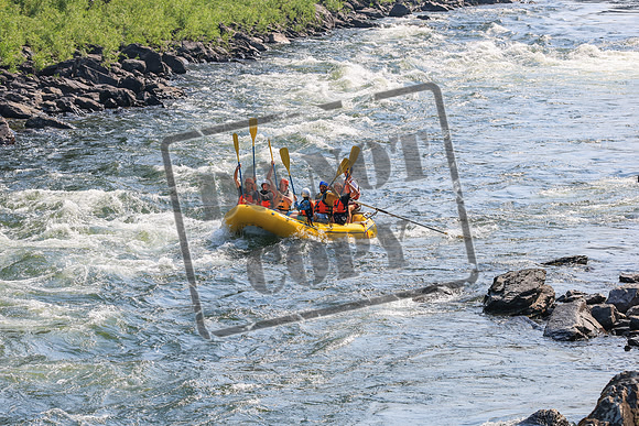 20260801-IMG_4890