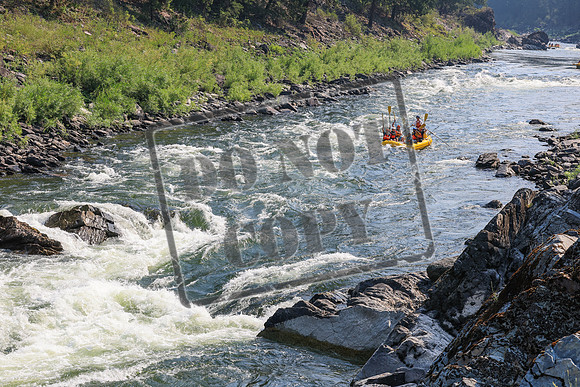 20260801-IMG_4891