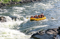 20260801-IMG_4893