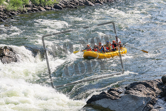 20260801-IMG_4893