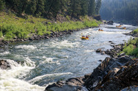 20260801-IMG_4931