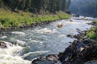 20260801-IMG_4930